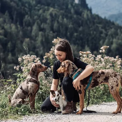 Amy, Maggie & Fiete profile