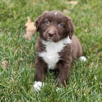 Hi I’m Maisie profile