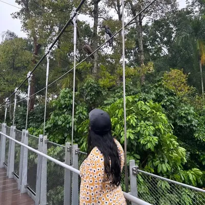 Maitri profile
