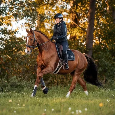 Maj und ihr „Ponyhof“ profile