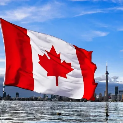 MAJHA TO CANADA profile