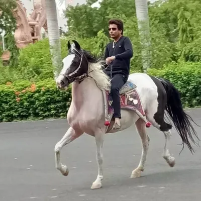 Malav Pandit(भाइ साहेब) profile