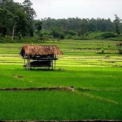 മലയാള നാട് 🌴 profile