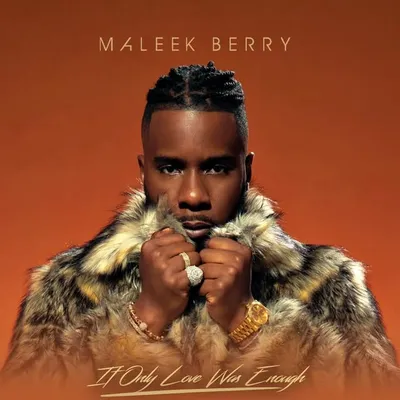 Maleek Berry profile