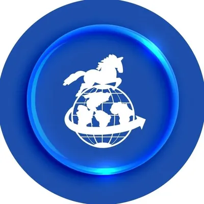 آژانس هواپیمائی آذرگشت ملکی | تور، پرواز، هتل، ویزا | تبریز profile