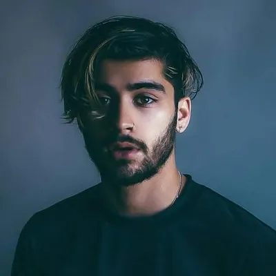 zayn profile
