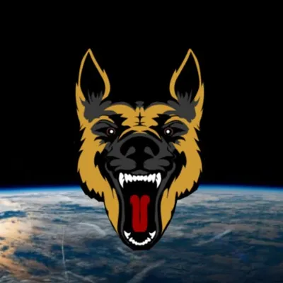 Belgian Shepherds Worldwide ๐ profile