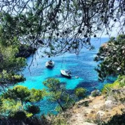 Mallorca Magic Real Estate โข Travel Tips ๐ profile