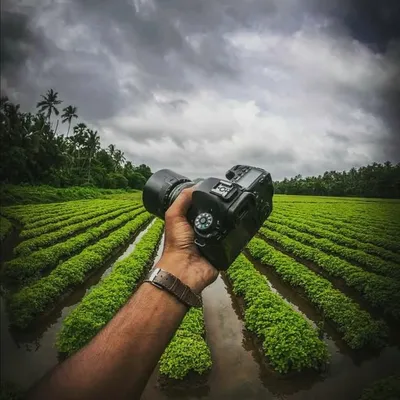 mallu_graphers profile