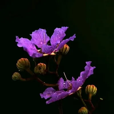 🌻KERALA🌻PHOTOGRAPHY🌻 profile