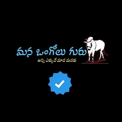 Mana Ongole Guru profile