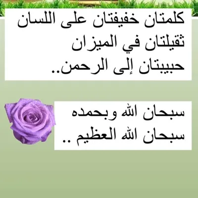 منااار profile