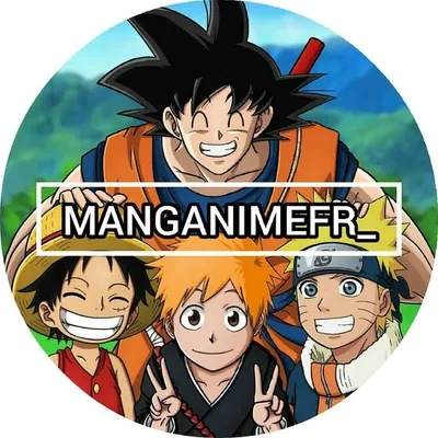 Manganimefr profile