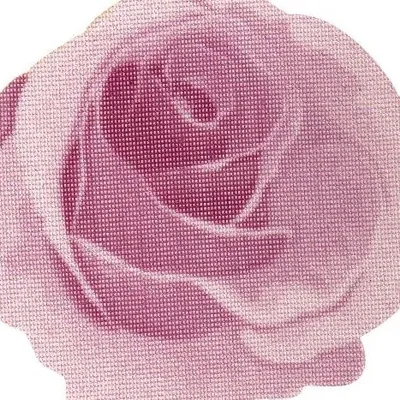 Manisha Rose profile
