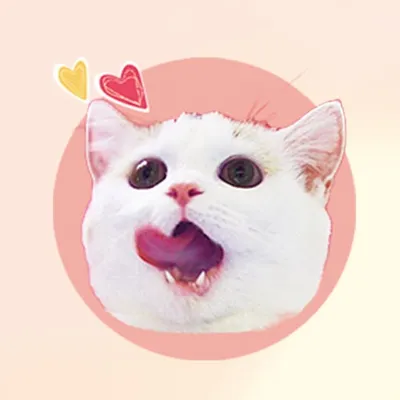 貓七ᴍᴀᴏ7 profile