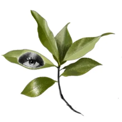 mar botanic profile
