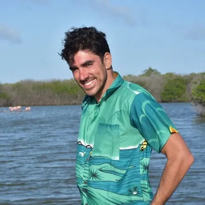 Marcelo Adnet profile