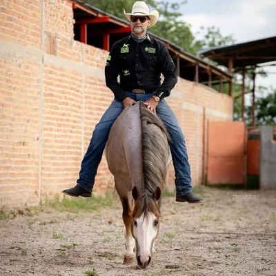 Mariano Pedrero profile