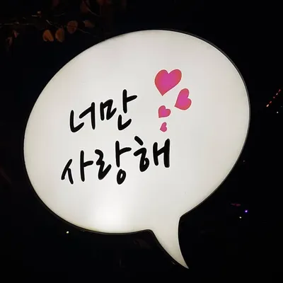 바람꽃 profile