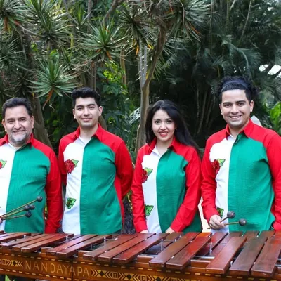 Mario Nandayapa Quartet profile