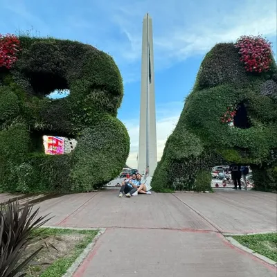 Mario Jimenez profile