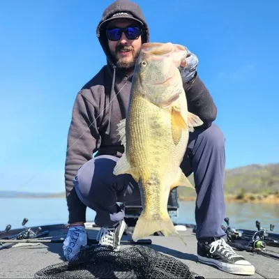 Mark Cobey profile