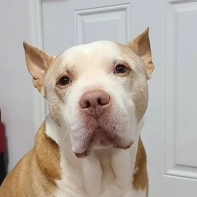 Mark My Pit profile