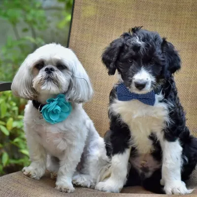 Marley & Brewer profile