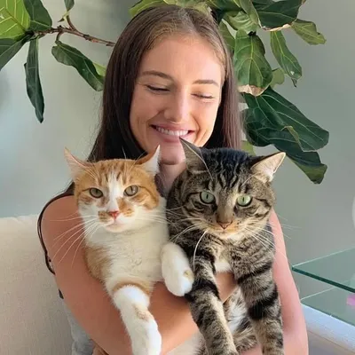 Allie, Marley, Pumpkin, and Bennie profile