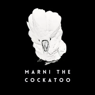 Marni the Cockatoo profile