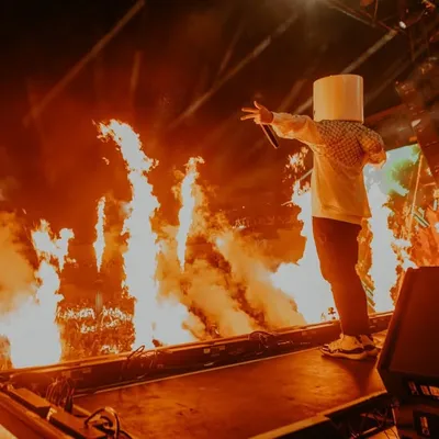 marshmello profile