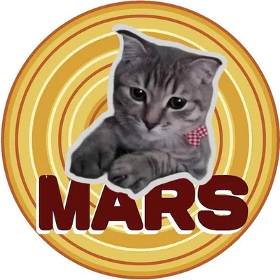 M A R S profile