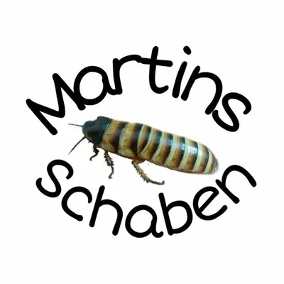 Martins Schaben profile