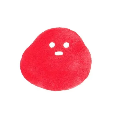marucoro chan profile