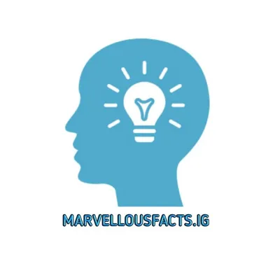 Fact & Knowledge ๐๏ธ profile