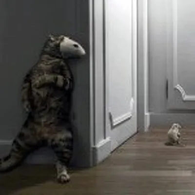 Les Indiennes profile