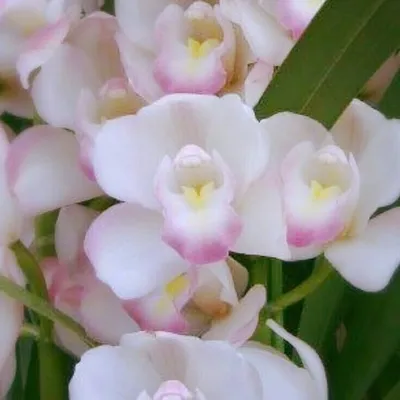 masako♡(๑❛ᴗ❛๑) profile