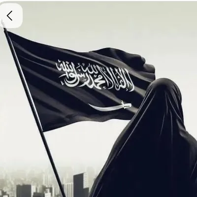 Masrat Rafiq profile