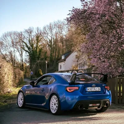 Massy_Blue_BRZ profile