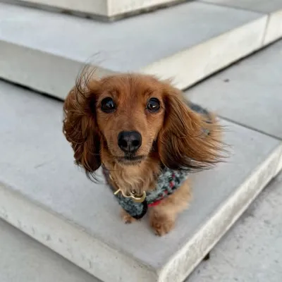 Mathilde & Celina profile