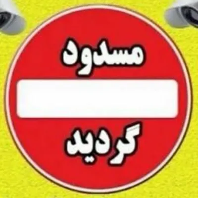 Mohammad Mahdi Moarefi profile