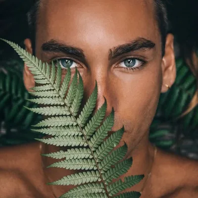 MATT LAYCOCK profile