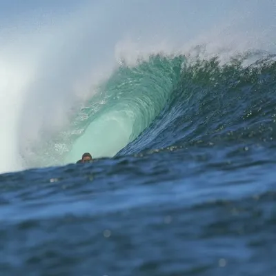 Matt Snelson profile
