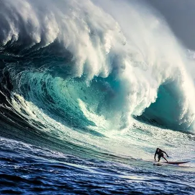 Matt Bromley profile