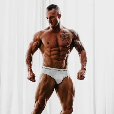 Matt Elley profile