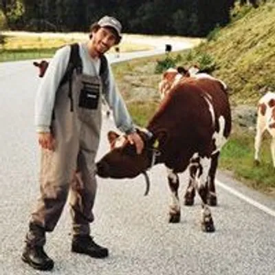 Matteo Montanari profile