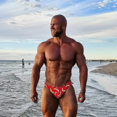 Matt Hampton profile