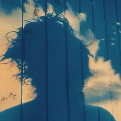 MATTHIEU SALVAING profile