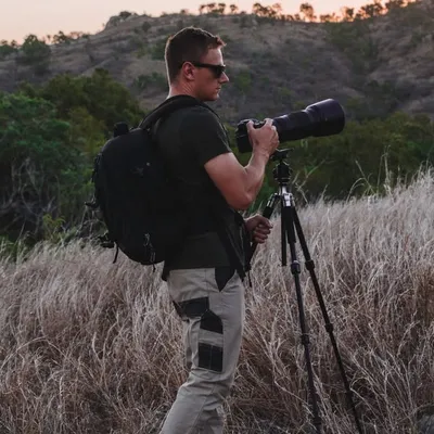 Matthew Williamson profile