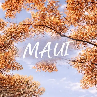 MAUI profile